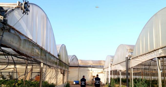 Controlli nelle aziende agricole di Terracina: scoperti lavoratori irregolari